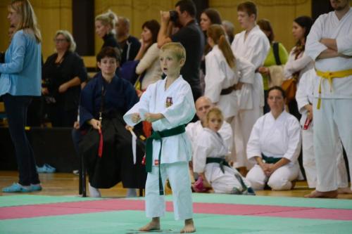 Viky na Valachia Cup ve Vsetíně (2015)