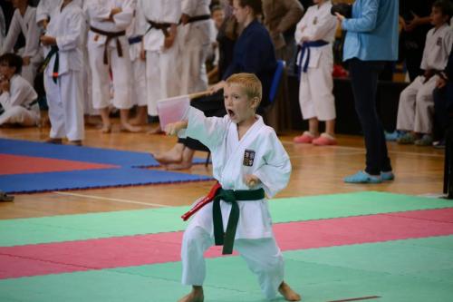 Viky na Valachia cup 2014